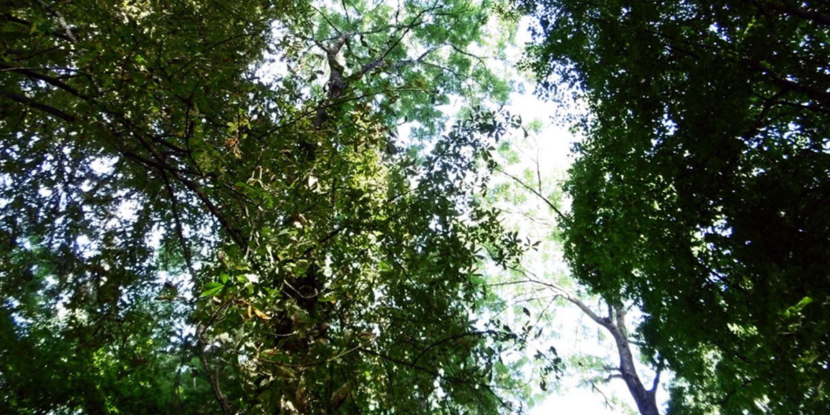 «Un parc-ressource» Parc privé – Villers-Allerand (51) 